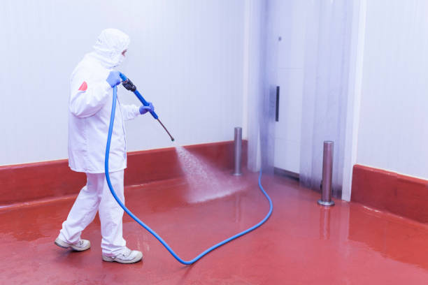 Best Driveway Pressure Washing  in Ke Providence, LA
